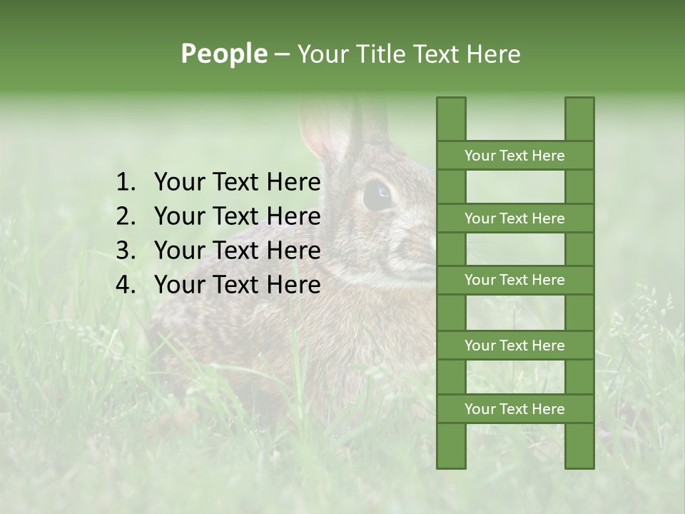 Whiskers Lagomorph Spring PowerPoint Template