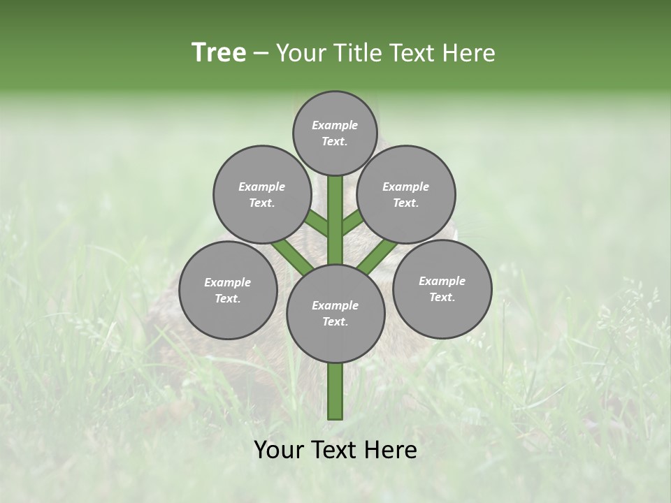 Whiskers Lagomorph Spring PowerPoint Template