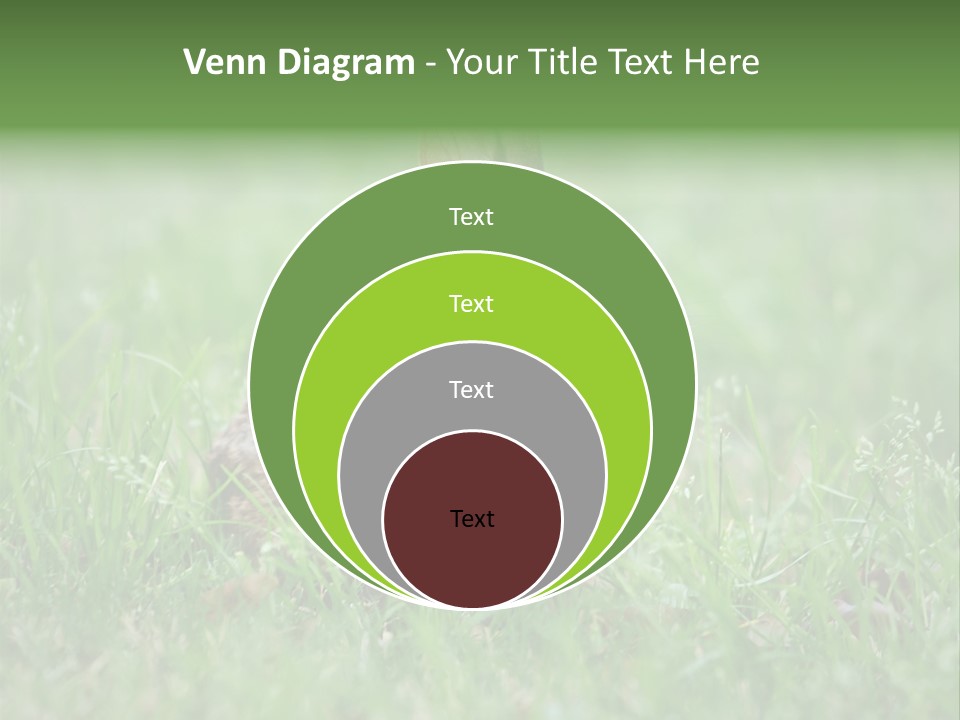 Whiskers Lagomorph Spring PowerPoint Template
