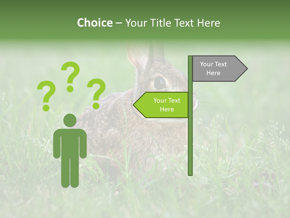 Whiskers Lagomorph Spring PowerPoint Template