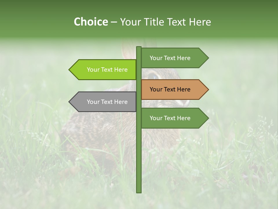 Whiskers Lagomorph Spring PowerPoint Template