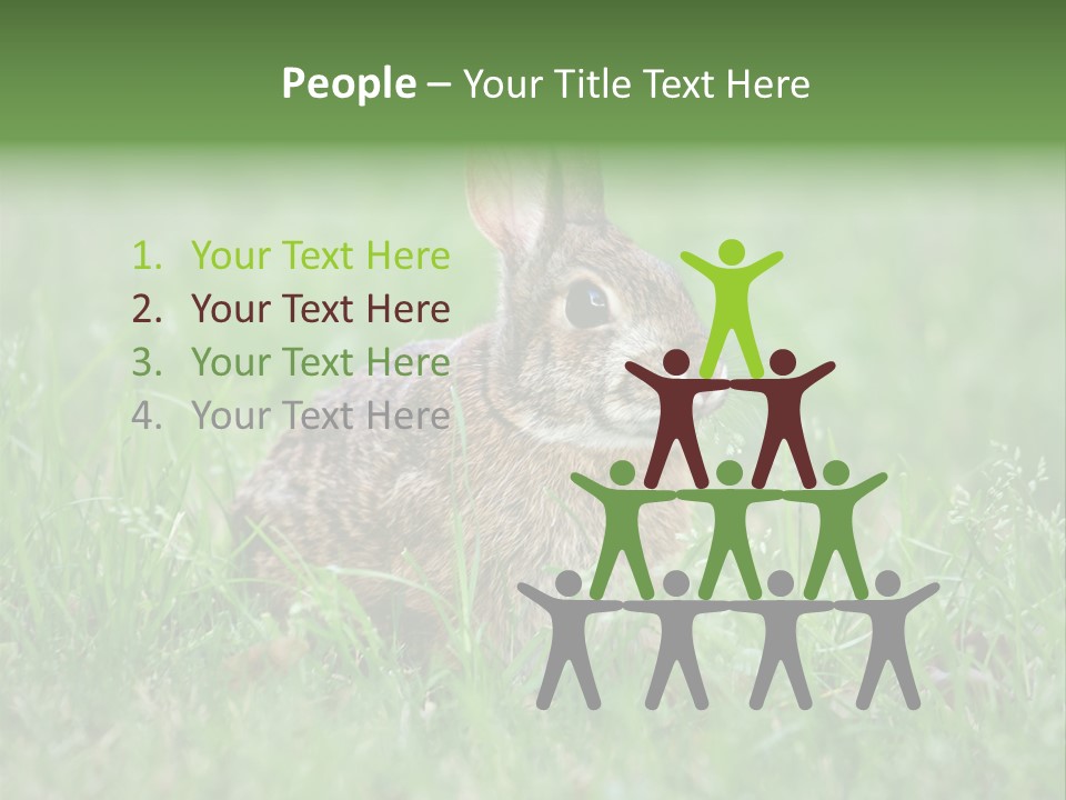 Whiskers Lagomorph Spring PowerPoint Template
