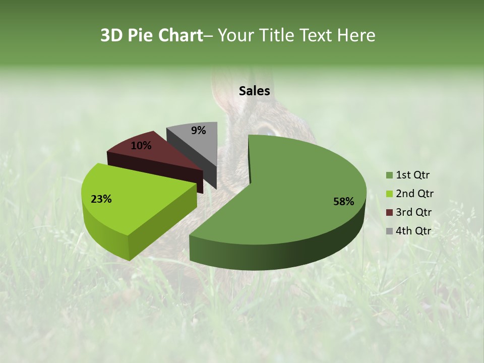 Whiskers Lagomorph Spring PowerPoint Template