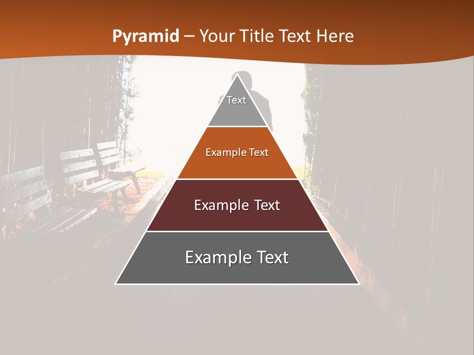 Male Young Light PowerPoint Template
