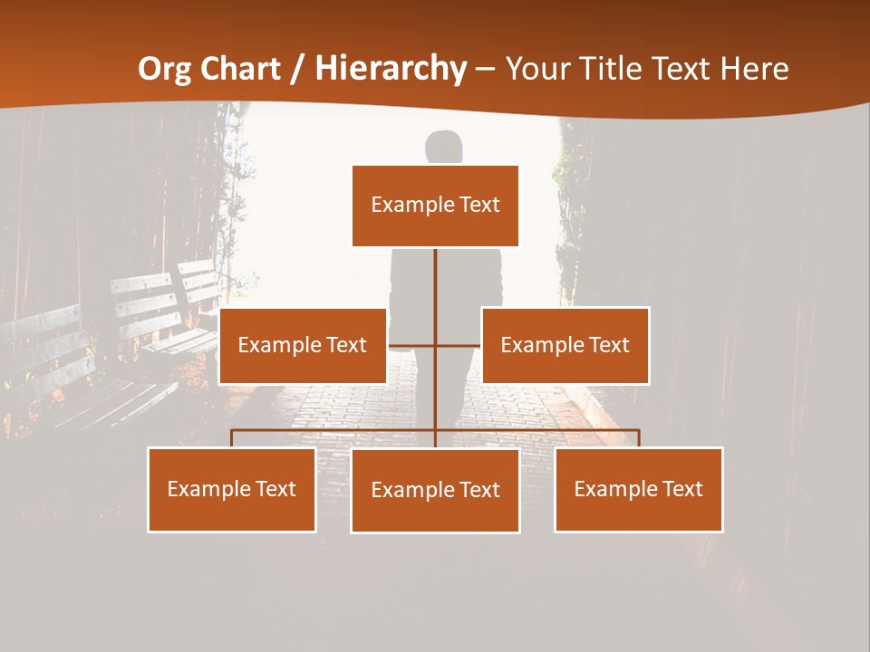 Male Young Light PowerPoint Template