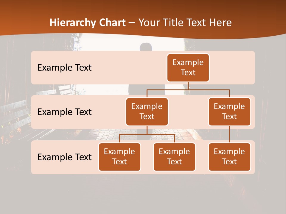 Male Young Light PowerPoint Template