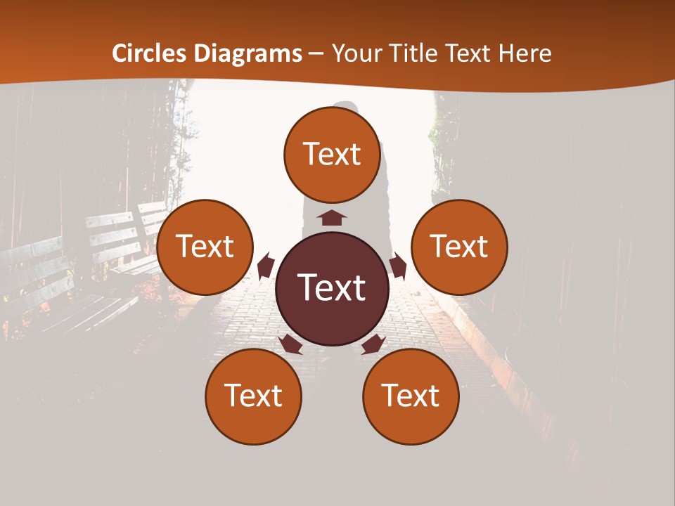 Male Young Light PowerPoint Template