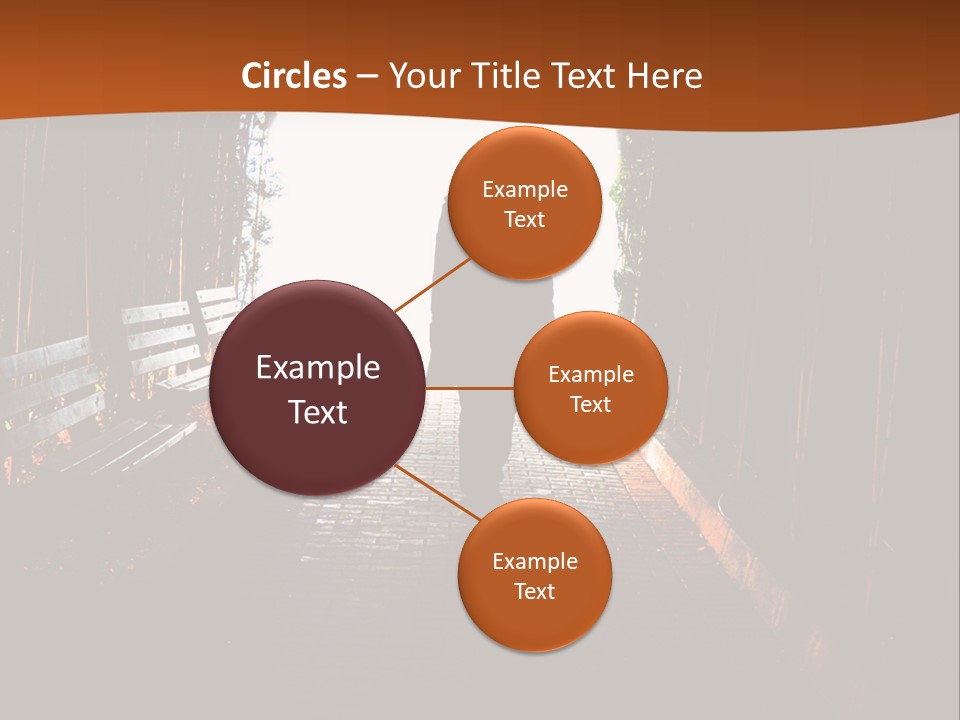 Male Young Light PowerPoint Template