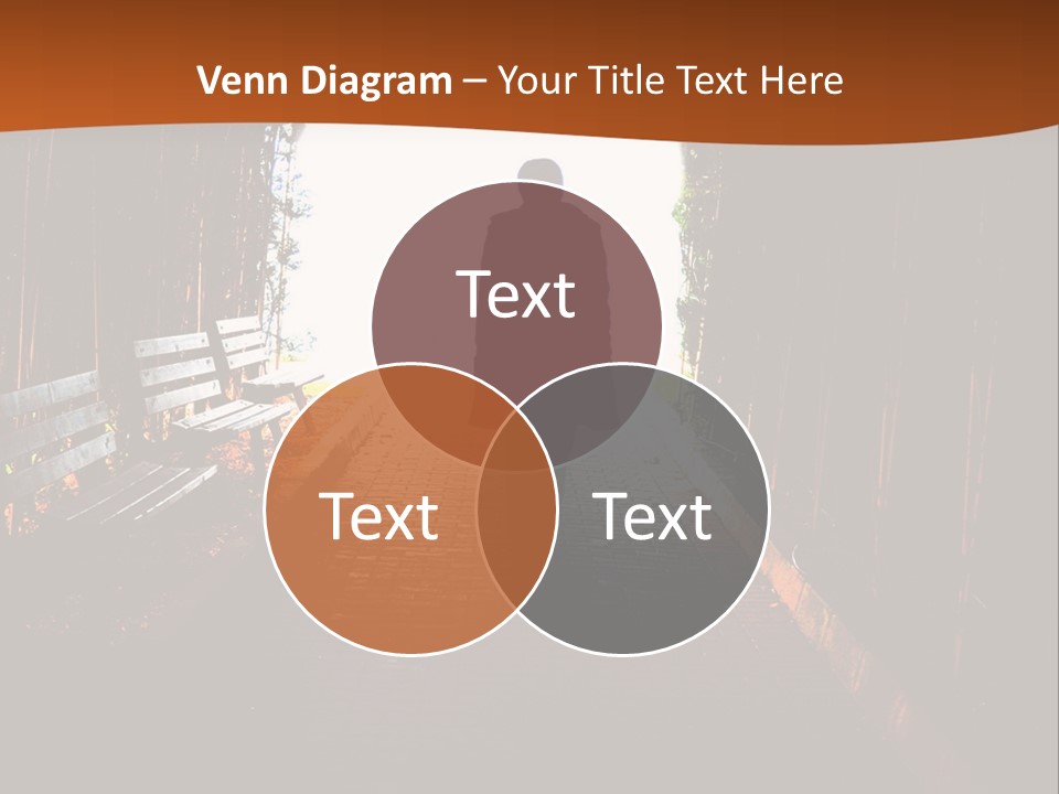 Male Young Light PowerPoint Template