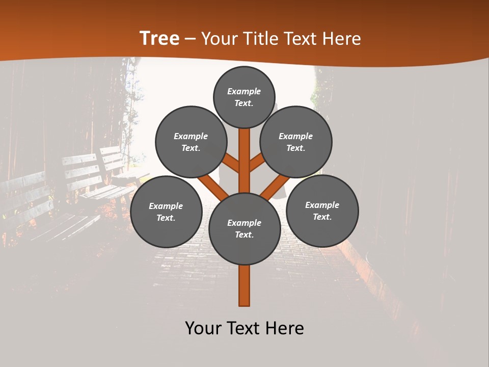 Male Young Light PowerPoint Template