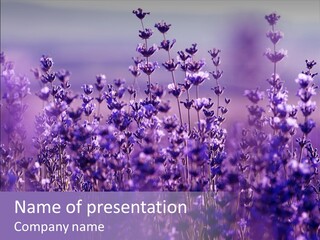 Shrub French Nature PowerPoint Template