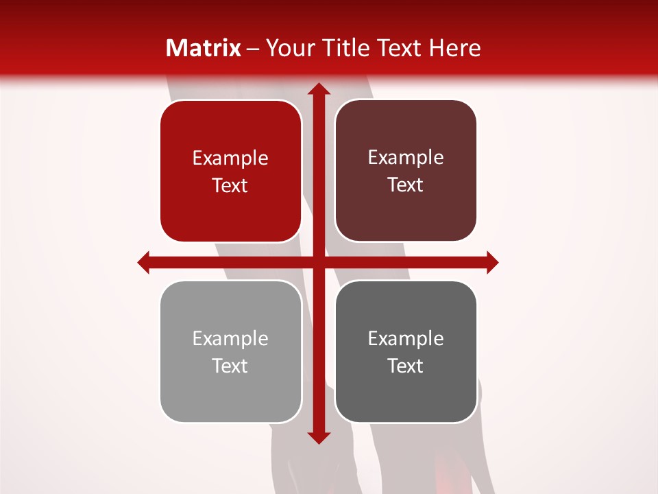 Long Style Pantyhose PowerPoint Template