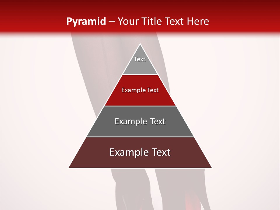 Long Style Pantyhose PowerPoint Template