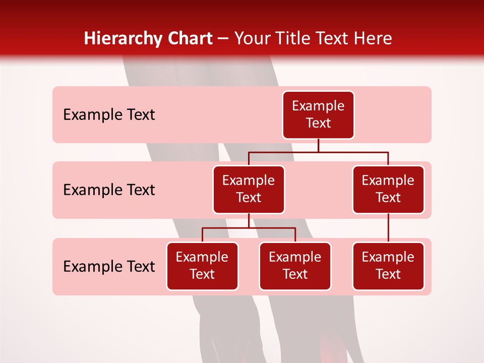 Long Style Pantyhose PowerPoint Template