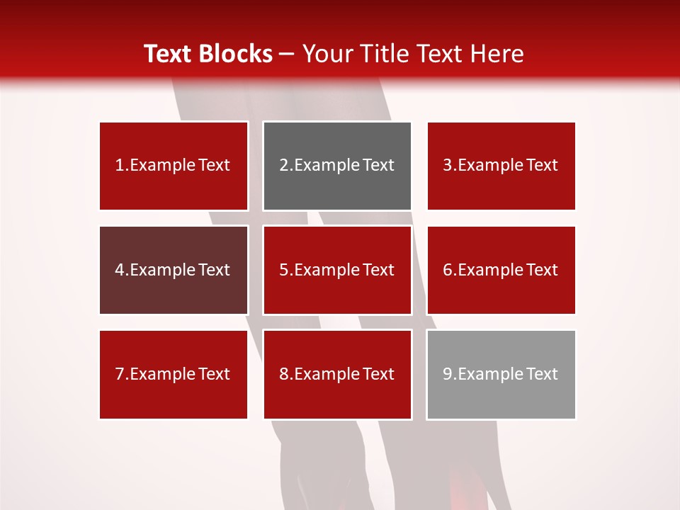 Long Style Pantyhose PowerPoint Template