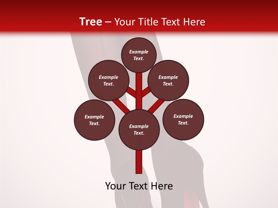 Long Style Pantyhose PowerPoint Template