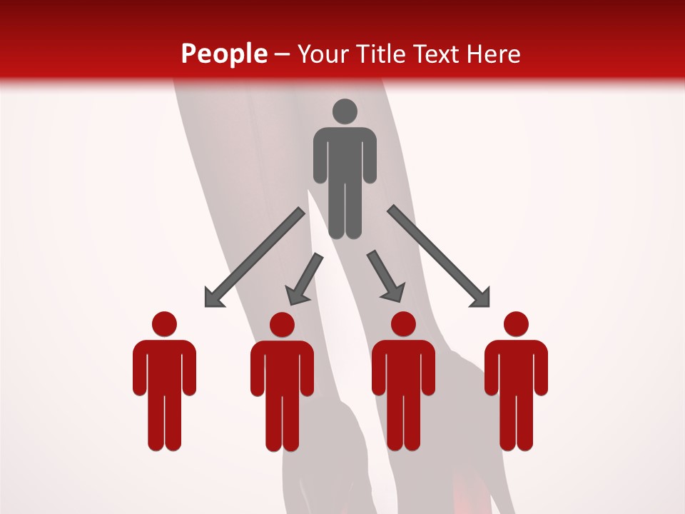 Long Style Pantyhose PowerPoint Template