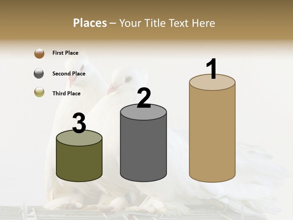 Feather Endothermic Feathered PowerPoint Template