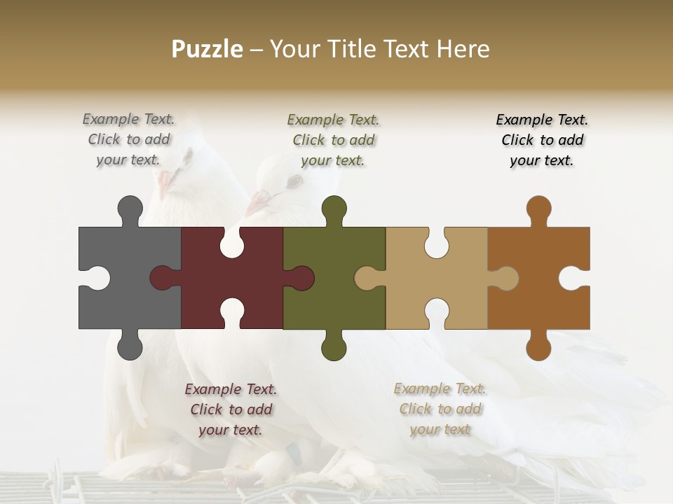 Feather Endothermic Feathered PowerPoint Template