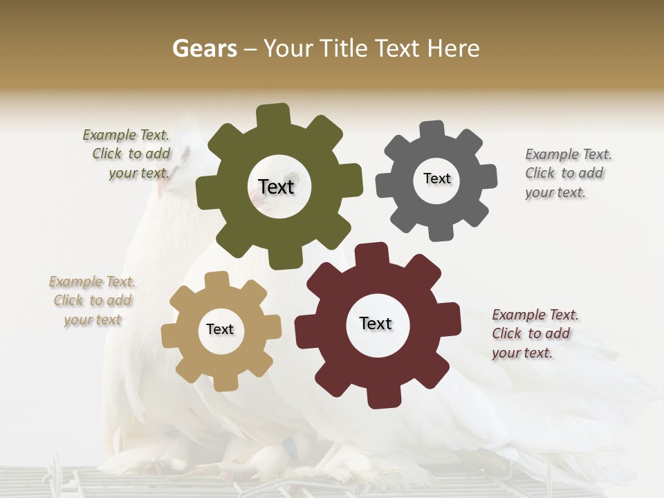 Feather Endothermic Feathered PowerPoint Template