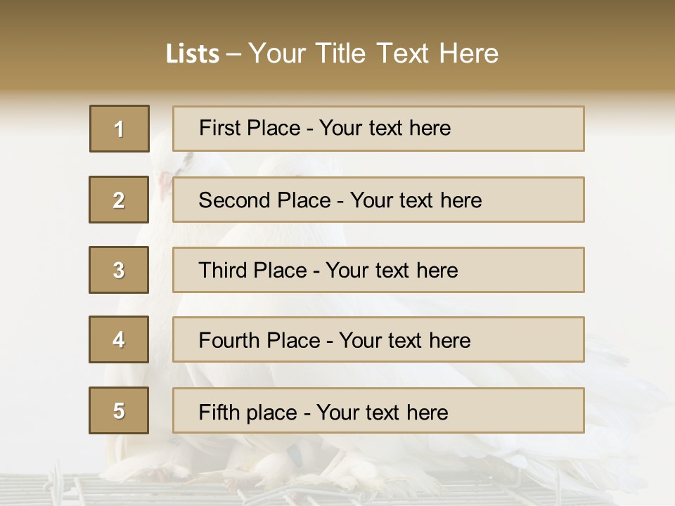 Feather Endothermic Feathered PowerPoint Template
