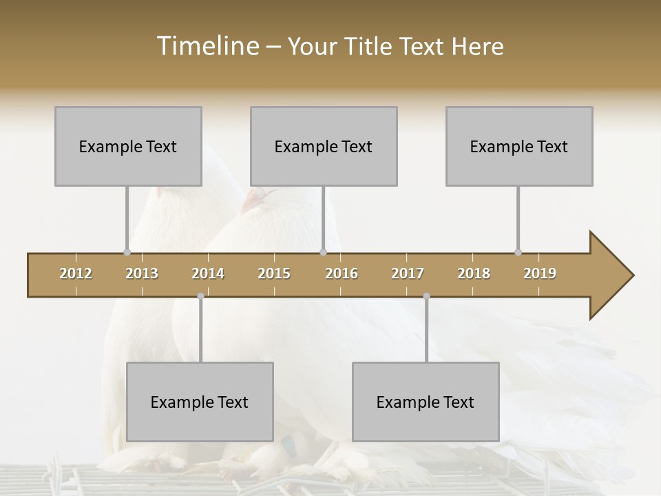 Feather Endothermic Feathered PowerPoint Template