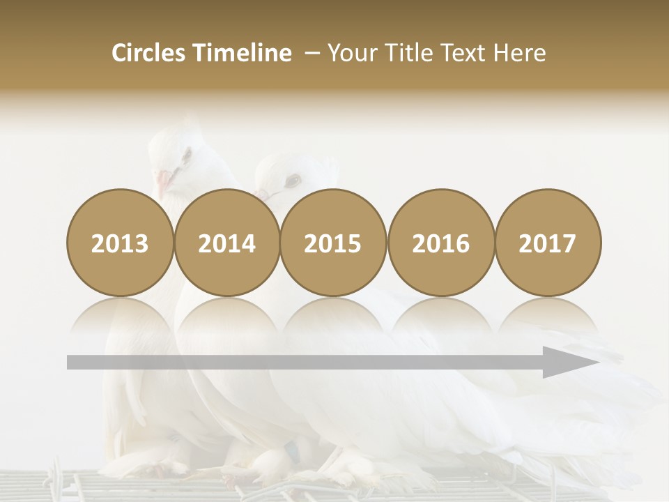 Feather Endothermic Feathered PowerPoint Template