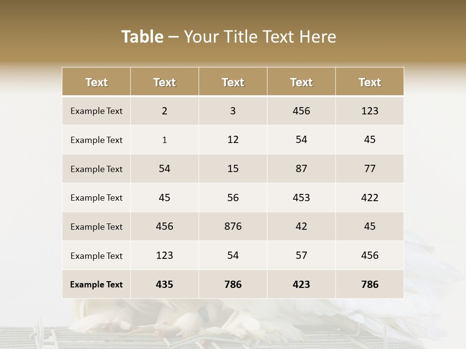 Feather Endothermic Feathered PowerPoint Template
