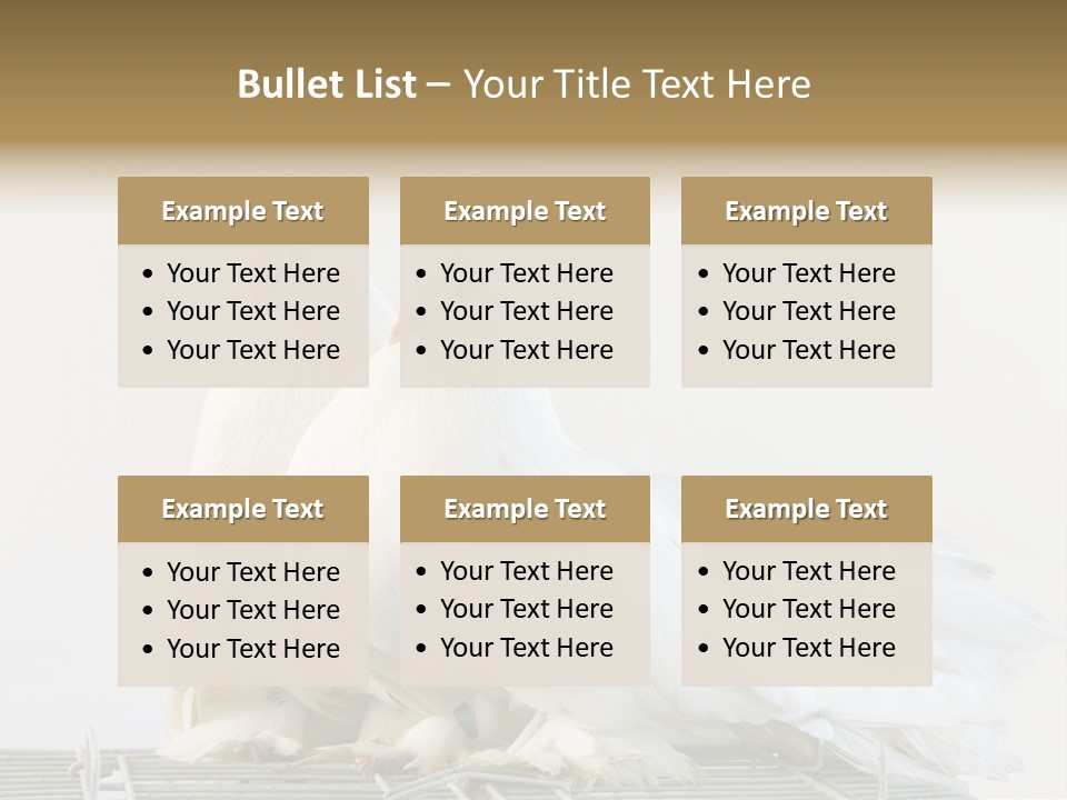 Feather Endothermic Feathered PowerPoint Template