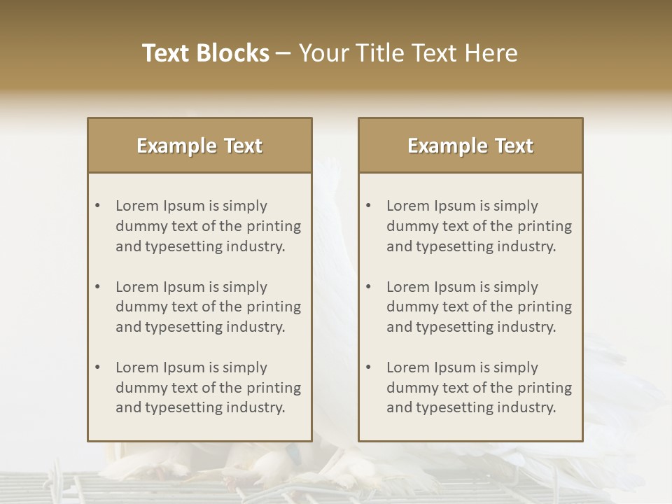 Feather Endothermic Feathered PowerPoint Template