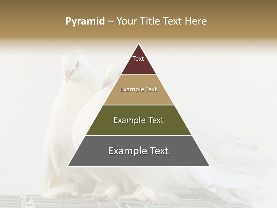 Feather Endothermic Feathered PowerPoint Template