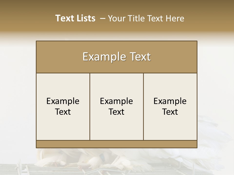 Feather Endothermic Feathered PowerPoint Template