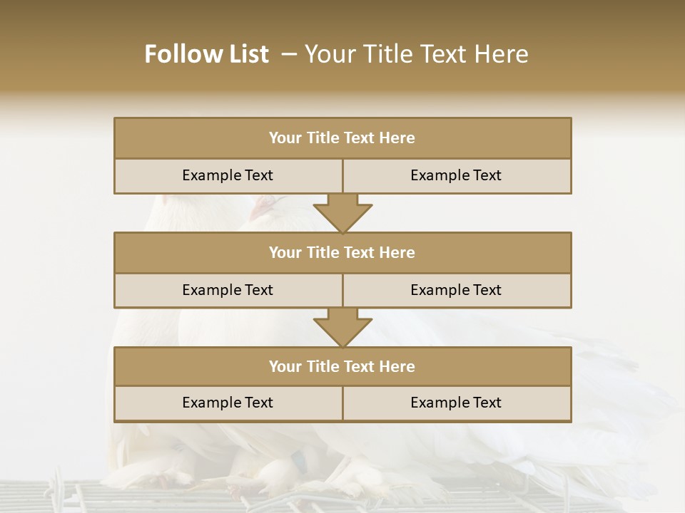 Feather Endothermic Feathered PowerPoint Template