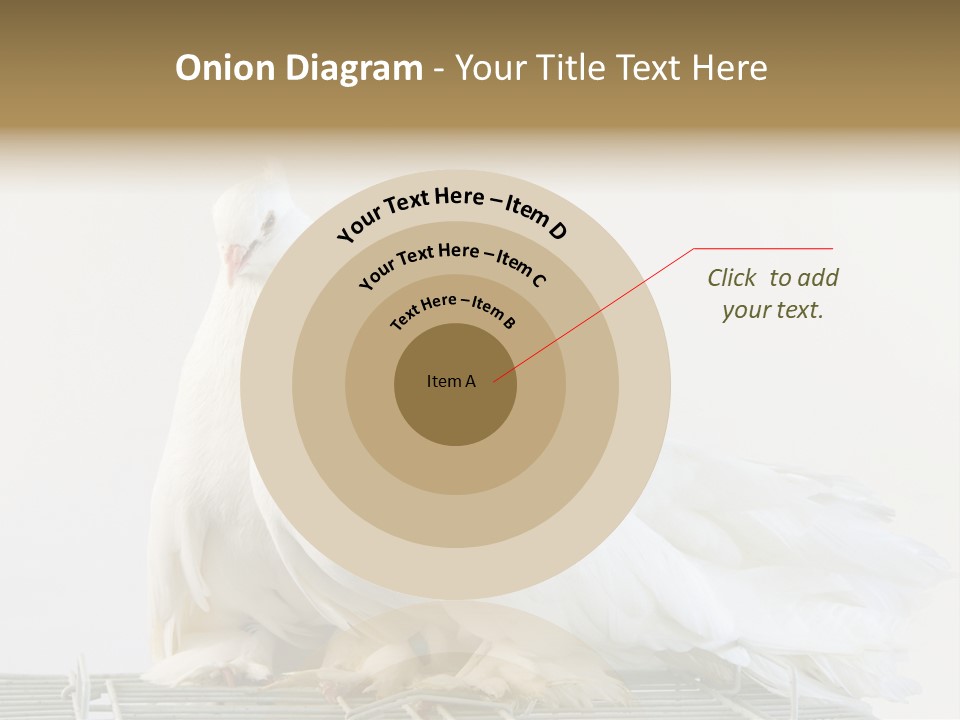 Feather Endothermic Feathered PowerPoint Template