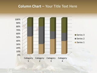 Feather Endothermic Feathered PowerPoint Template