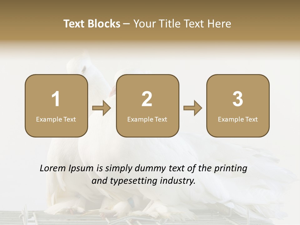 Feather Endothermic Feathered PowerPoint Template