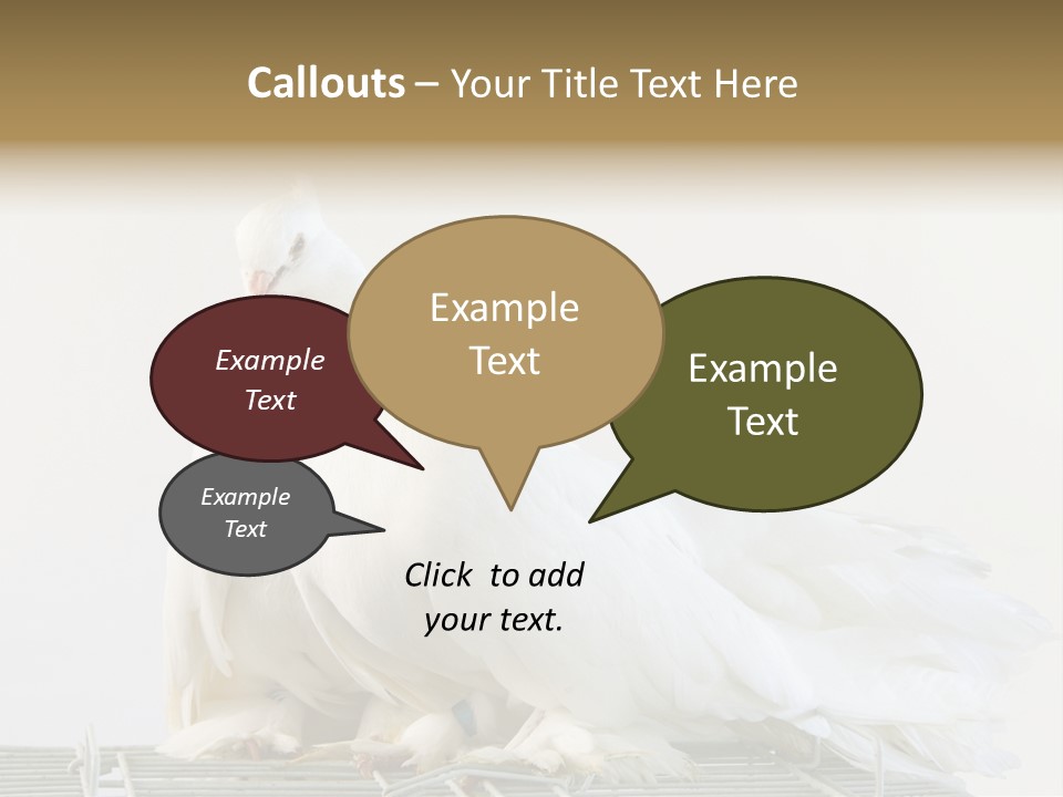 Feather Endothermic Feathered PowerPoint Template
