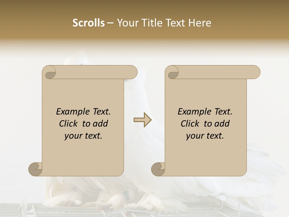 Feather Endothermic Feathered PowerPoint Template