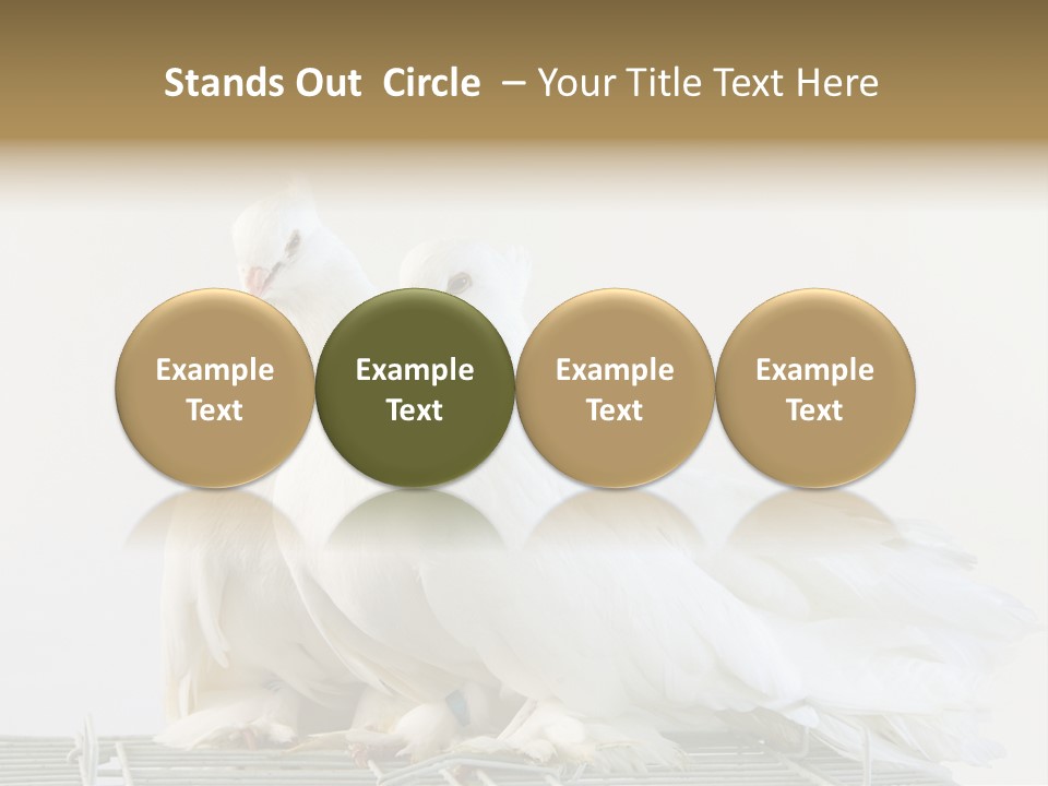 Feather Endothermic Feathered PowerPoint Template