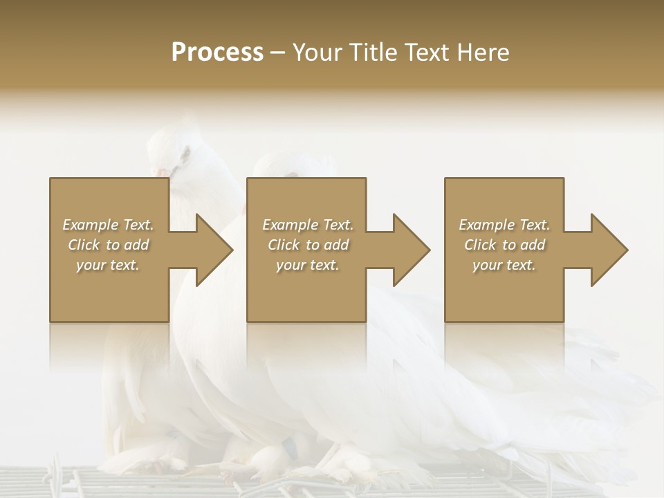 Feather Endothermic Feathered PowerPoint Template
