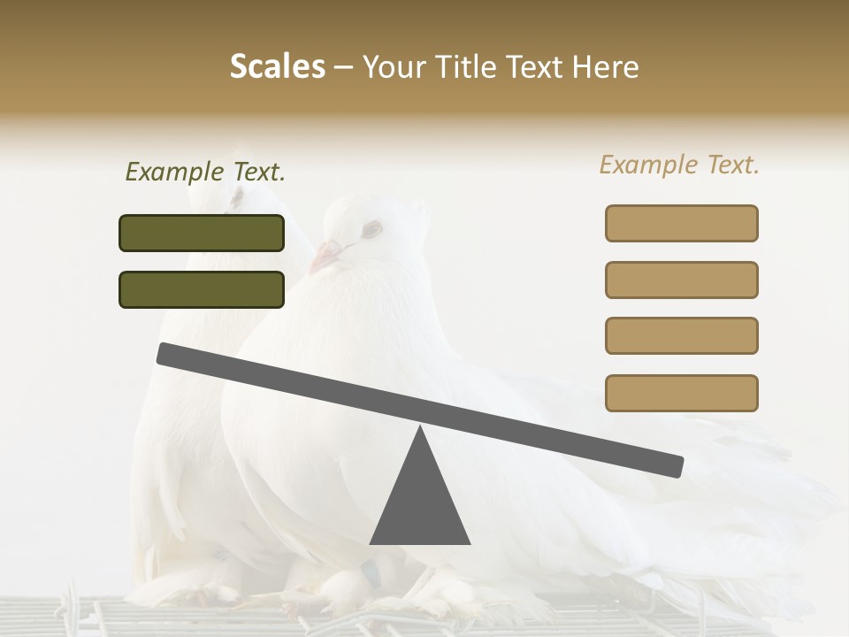 Feather Endothermic Feathered PowerPoint Template
