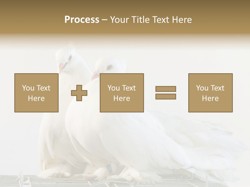Feather Endothermic Feathered PowerPoint Template