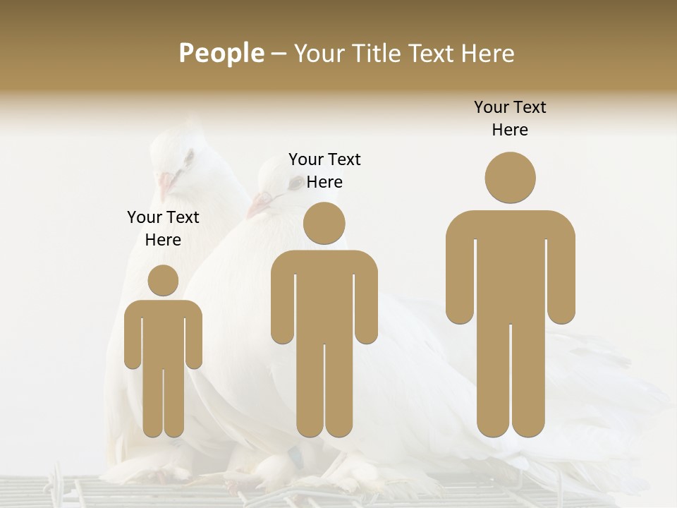 Feather Endothermic Feathered PowerPoint Template