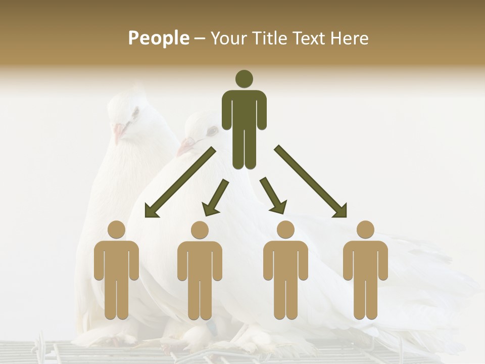 Feather Endothermic Feathered PowerPoint Template