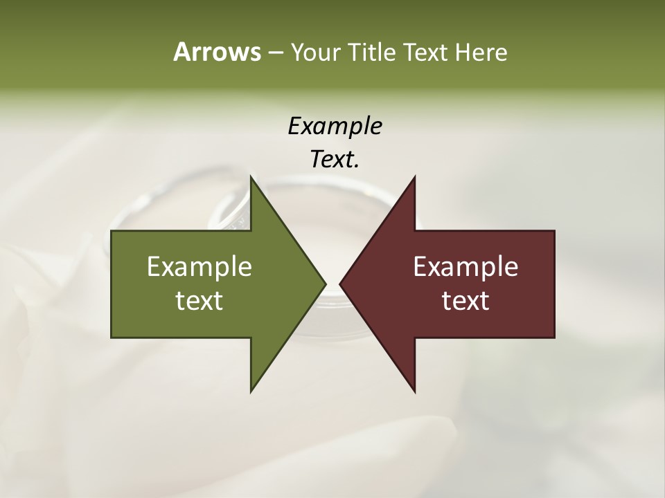 Rose Round Fingers PowerPoint Template