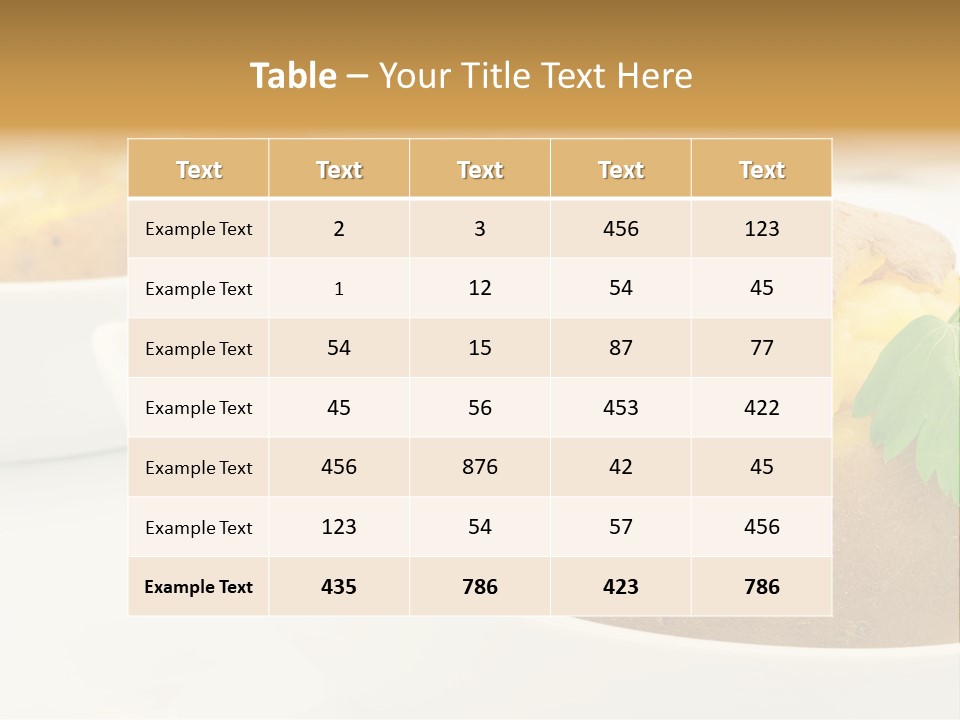 Megaphone Retro Metaphor PowerPoint Template