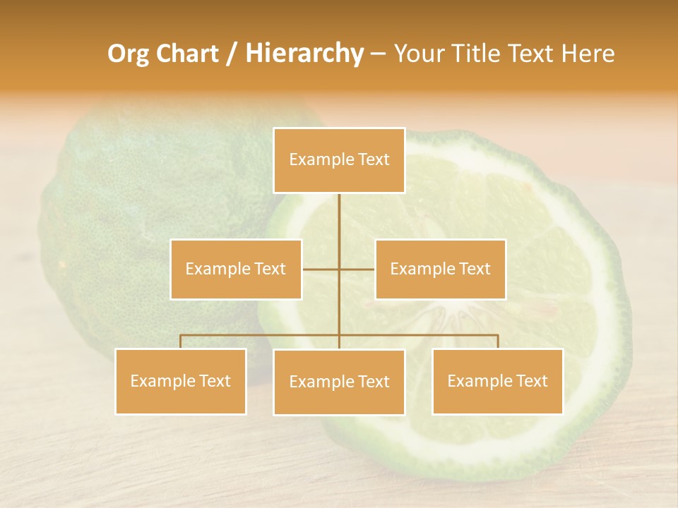 Leaves Design Sud PowerPoint Template