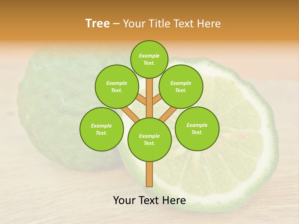 Leaves Design Sud PowerPoint Template