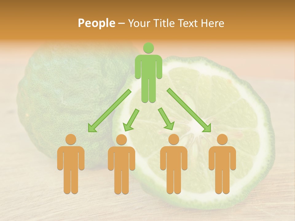 Leaves Design Sud PowerPoint Template