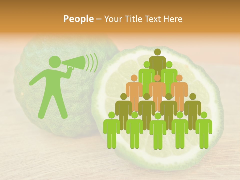 Leaves Design Sud PowerPoint Template